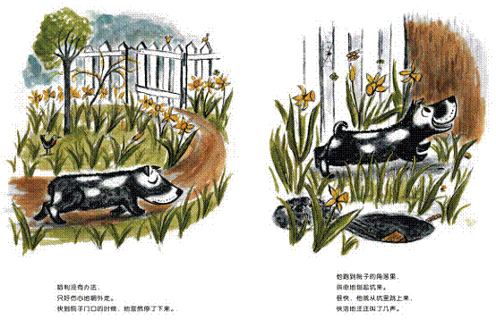 好脏的哈利 (02),绘本,绘本故事,绘本阅读,故事书,童书,图画书,课外阅读